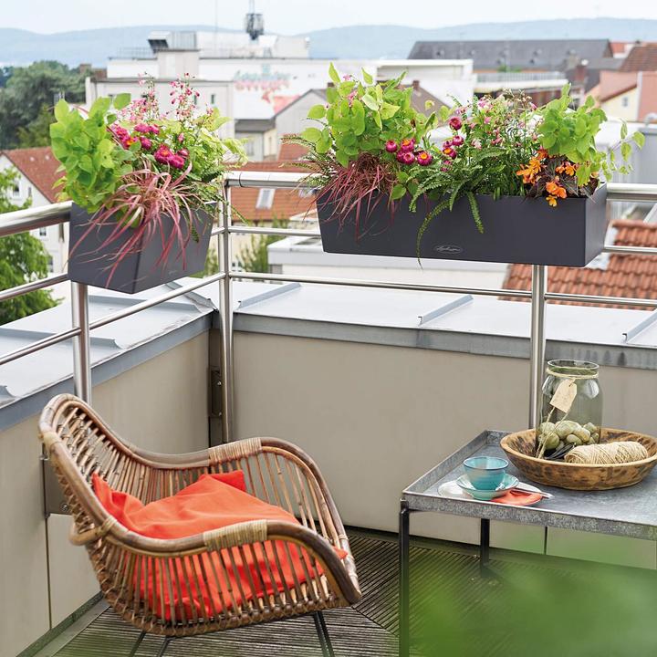 Actual product image Lechuza Balconera Color (19 cm)