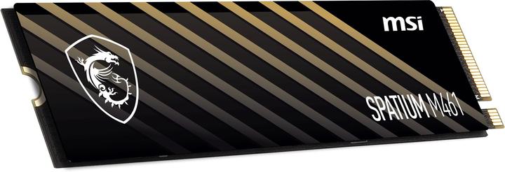 Image du produit MSI Spatium M461 (1000 Go, M.2)