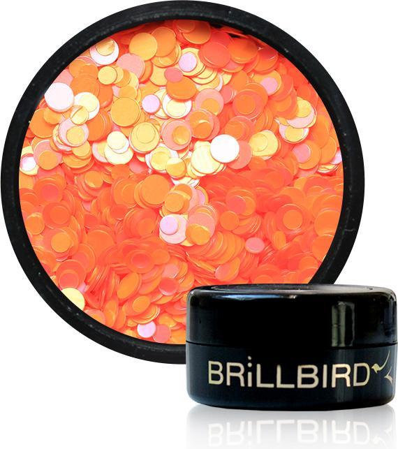 BrillBird Nail Art Dots 1