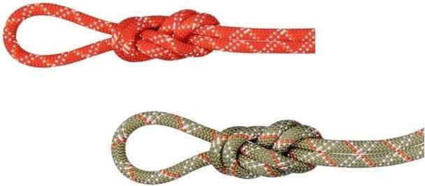 Mammut 9.5 Alpine Core Protect Dry Rope 50m - Corda Da Arrampicata Resistente All'Acqua, Mezza Corda