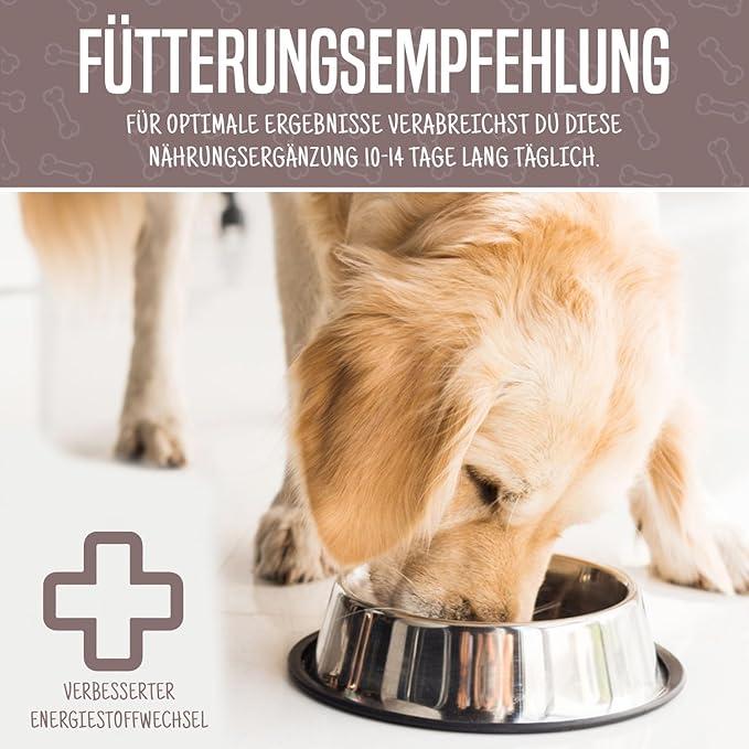 Produktbild TradiDog Senior (Senior, 700 g)