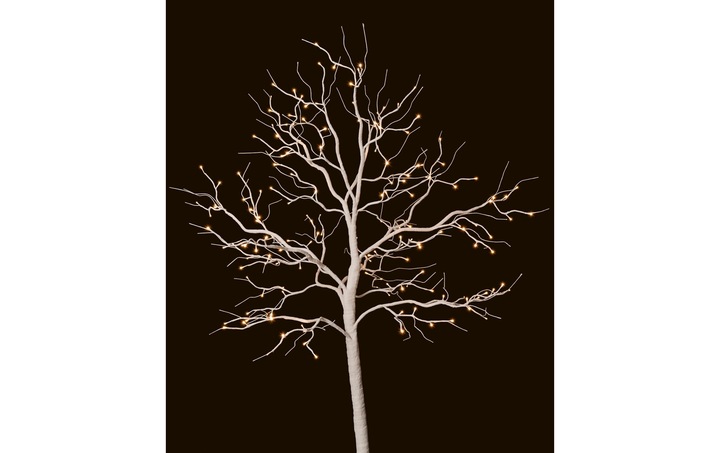 Actual product image STT Fairy Tale