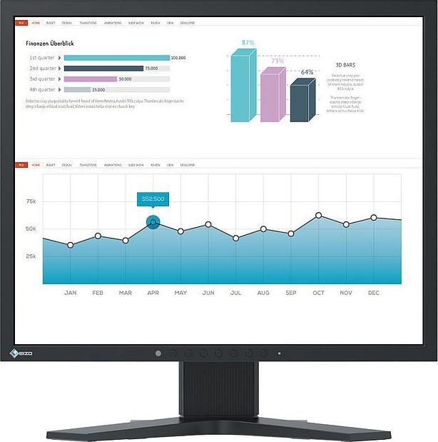 Actual product image Eizo S1934 FlexScan (1280 x 1024 pixels, 19")