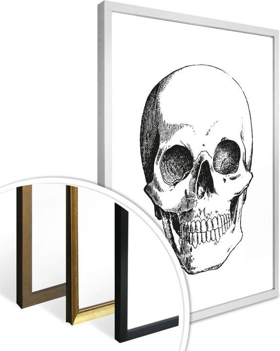 Produktbild Trenddeko Human Skull (80 x 60 cm)