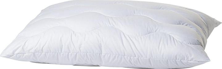 Actual product image Duvetsuisse All in One Flexi Premium (50 x 80 cm)