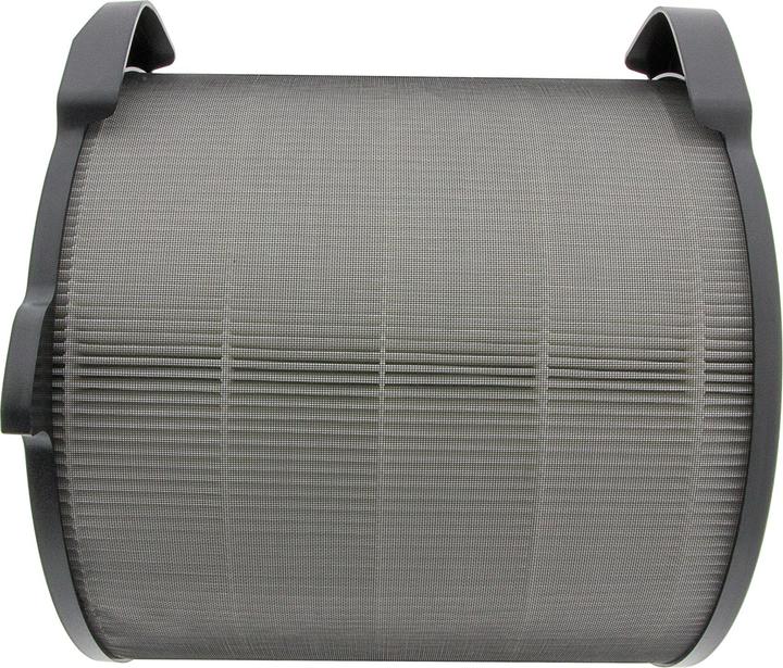 Immagine prodotto Flickbee Filtro per Electrolux Pure A9- sostituisce EFDBRZ4 (1 x)