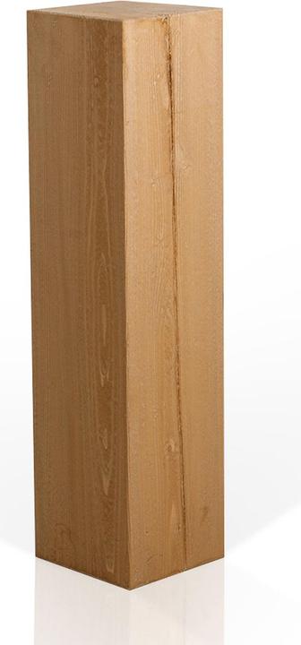 Riproduzione quercia