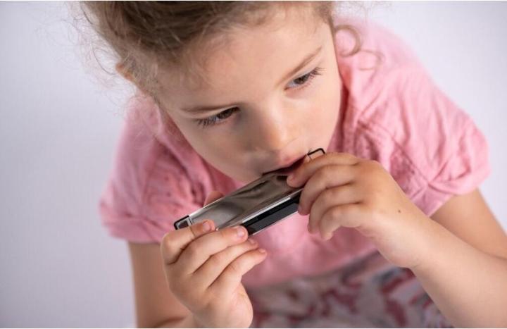 Actual product image Boogie Bee Harmonica (German, French, Dutch, Italian)