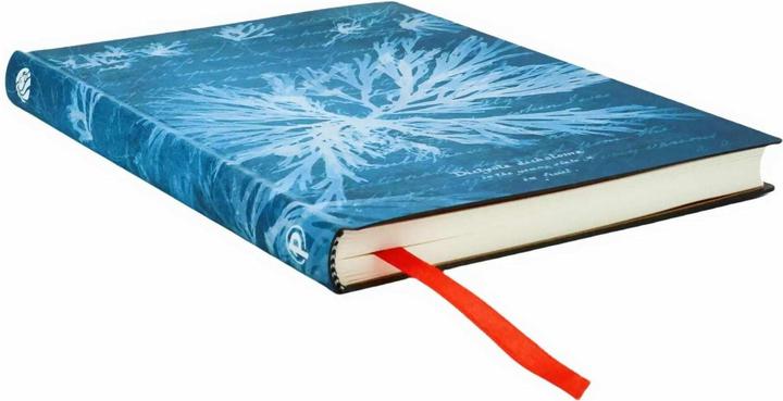 Produktbild Paperblanks Notizbuch Softcover Meeresblumen Midi Unliniert (A5, Blanko, Weicher Einband)