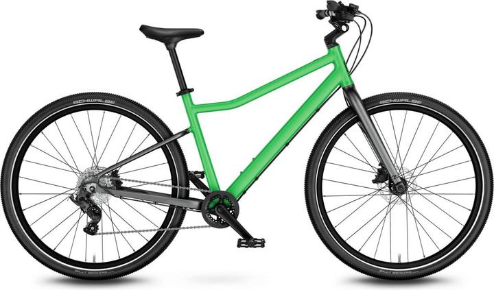 Jungle Green