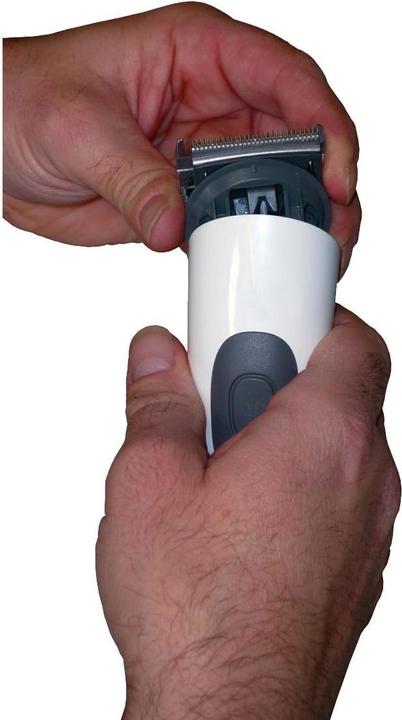 Actual product image Kerbl Accurata (Dog)