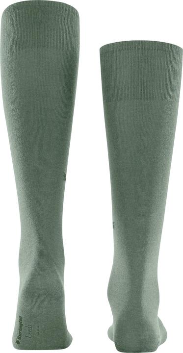 Produktbild Falke Leeds KH (Einzelpack, 40 - 46)