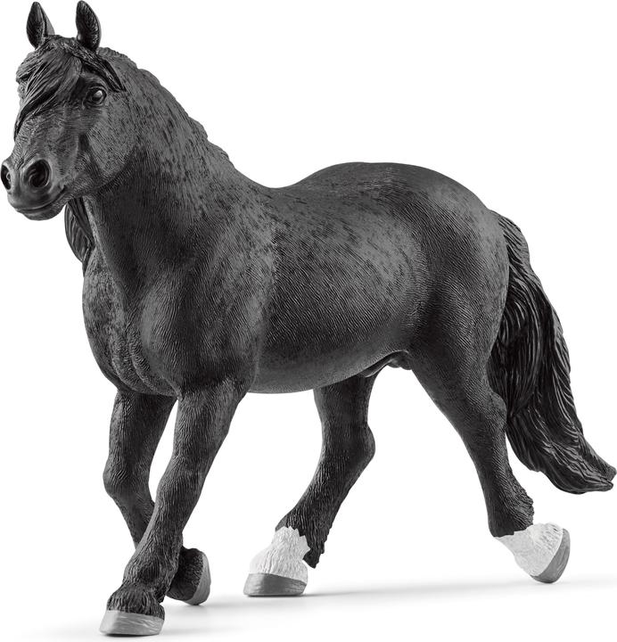 Image du produit Schleich Étalon noriker