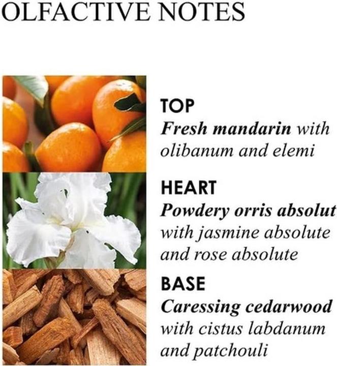 Produktbild Molton Brown Suede Orris Body Lotion (Körpermilch, 300 ml)