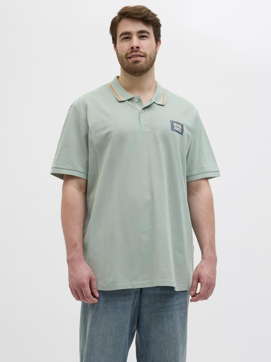 Actual product image Jack & Jones Plus Size Gedruckt Poloshirt Poloshirt (7XL)