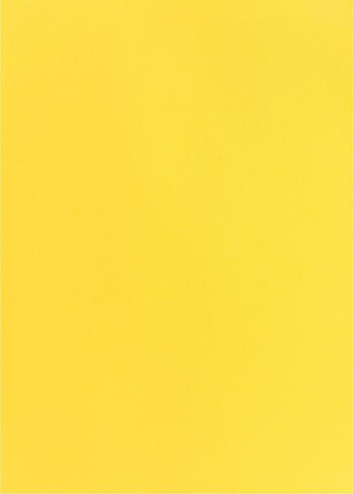Actual product image Photo cardboard 50X70 lemon yellow (270 g/m², 1 x)