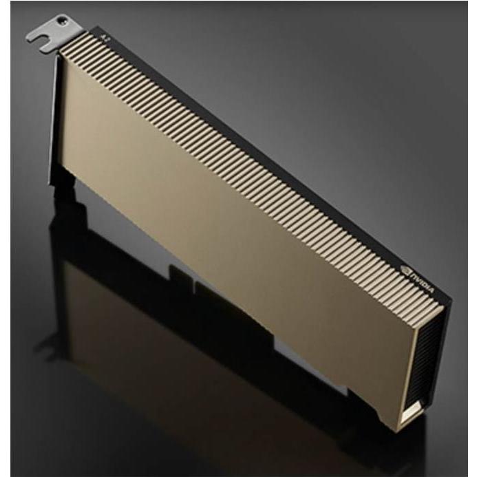 NVIDIA A2 - GPU-Rechenprozessor - (16 GB), Grafikkarte