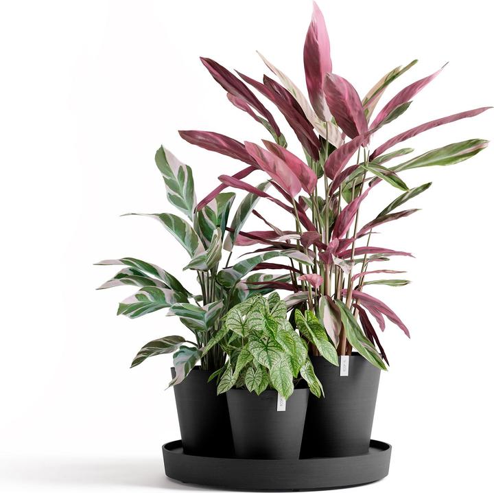 Immagine prodotto Ecopots Dubai (30 cm)