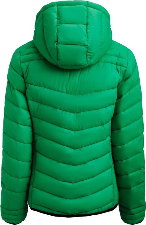 Actual product image Sharp Womens/Ladies Jacket (L)