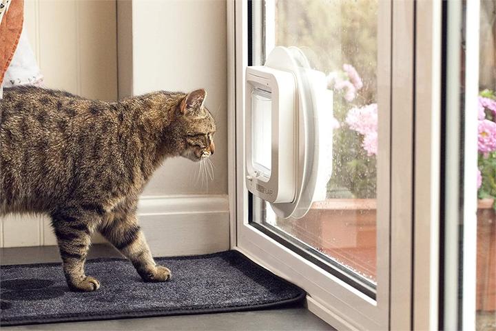 Actual product image SureFlap Microchip (Microchip Cat Flap)
