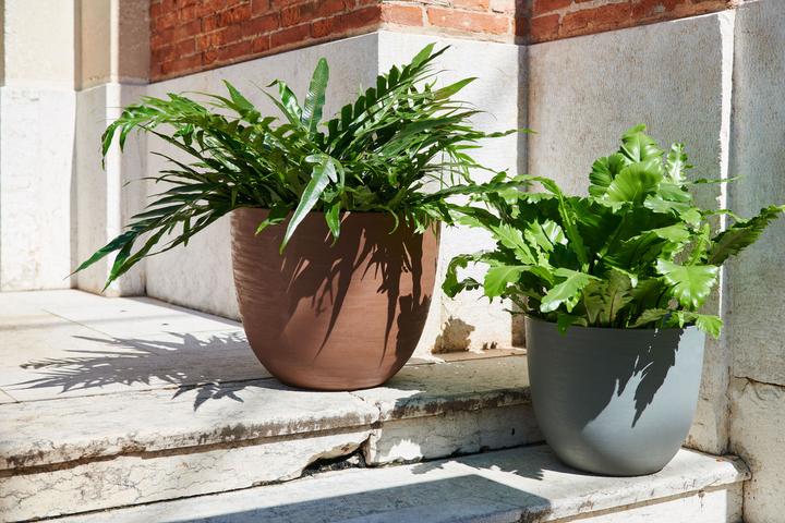 Image du produit Jaco Re Lite Pot Austin