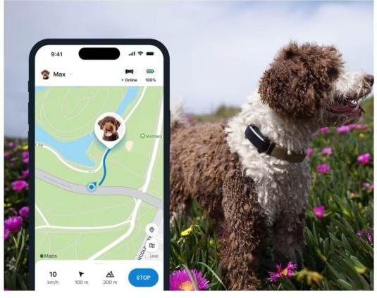 Immagine prodotto Tractive GPS Tracker Dog 6 (Cane, Passeggiare)