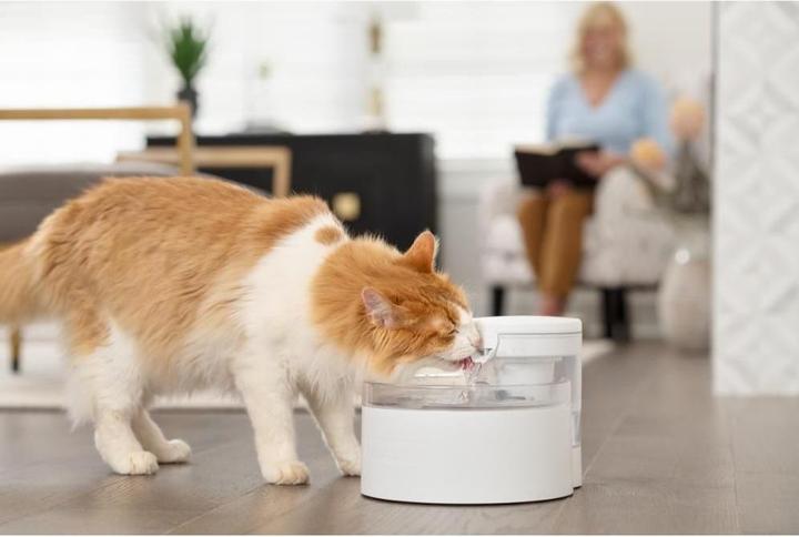 Actual product image PetSafe Outlast fontaine 1.7L (170 cl)