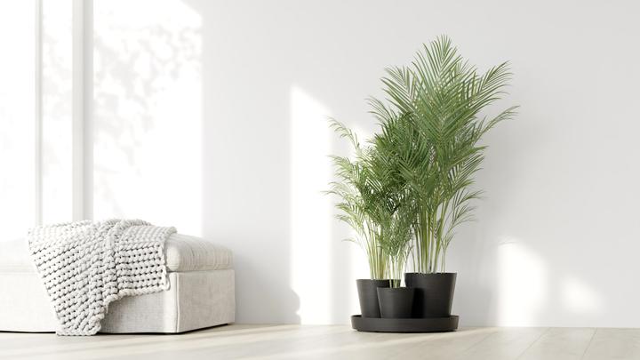 Immagine prodotto Ecopots Dubai (30 cm)
