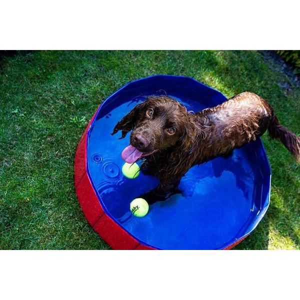 Piscine pour chien Nobby Pet