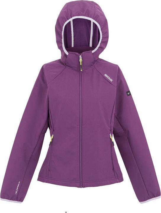 Helles Flieder, Abendlicht Violett