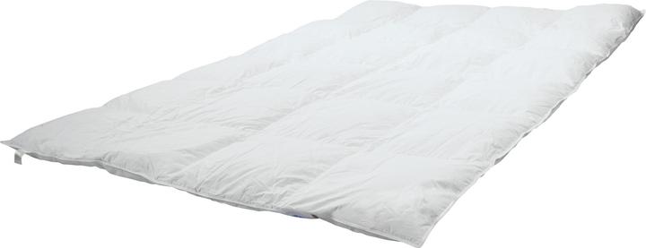 Image du produit Erwin Müller Oslo (1420 g, Duvet, 200 x 200 cm)