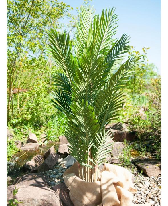 Productafbeelding Europalms Kentia palm, kunstplant, 140cm (140 cm)