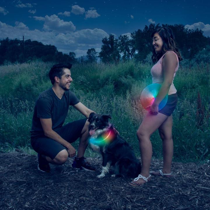 Actual product image Nite Ize NiteHowl® MiRechargeable LED Safety Necklace (Dog, General)