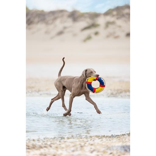 Thumbnail - Beeztees Buoy (Hundespielzeug), Hundespielzeug