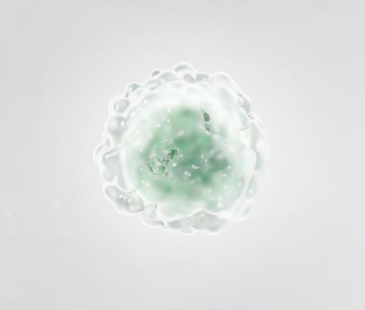 Actual product image Electrolux PURE A9 Care - Filter (1 x)