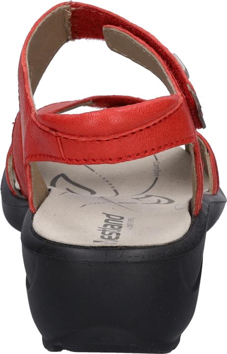 Actual product image Westland 25901-644 (39)