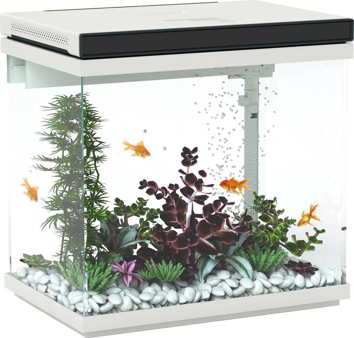 PawHut Aquarium Glas, ABS Weiss (26 l)