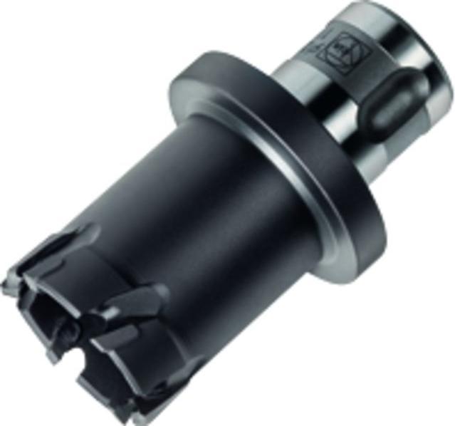 Fein Fraise au carbure avec emmanchement QuickIN PLUS, Ø perçage 14 mm, Profondeur de coupe 20 mm (14 millimètres)