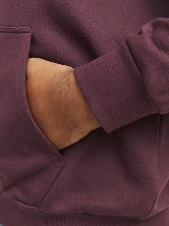 Image du produit Jack & Jones Jjecaleb Varsity Sweat Hood Noos Pls (4XL)