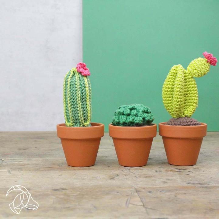 Immagine prodotto Hardicraft Cactus - Set per uncinetto