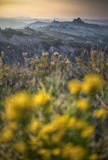 Produktbild Venus Optic Festbrennweite Laowa Argus 25mm f/0.95 CF APO – Sony E-Mount (Sony E, APS-C / DX)