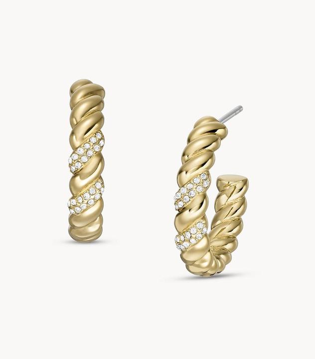 Image du produit Fossil Bijoux Boucles d'oreilles (Acier inoxydable)