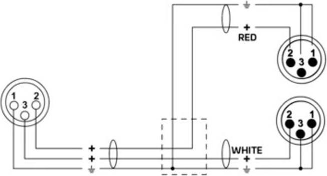 Productafbeelding Cordial XLR - 2x XLR (0.30 m, XLR)