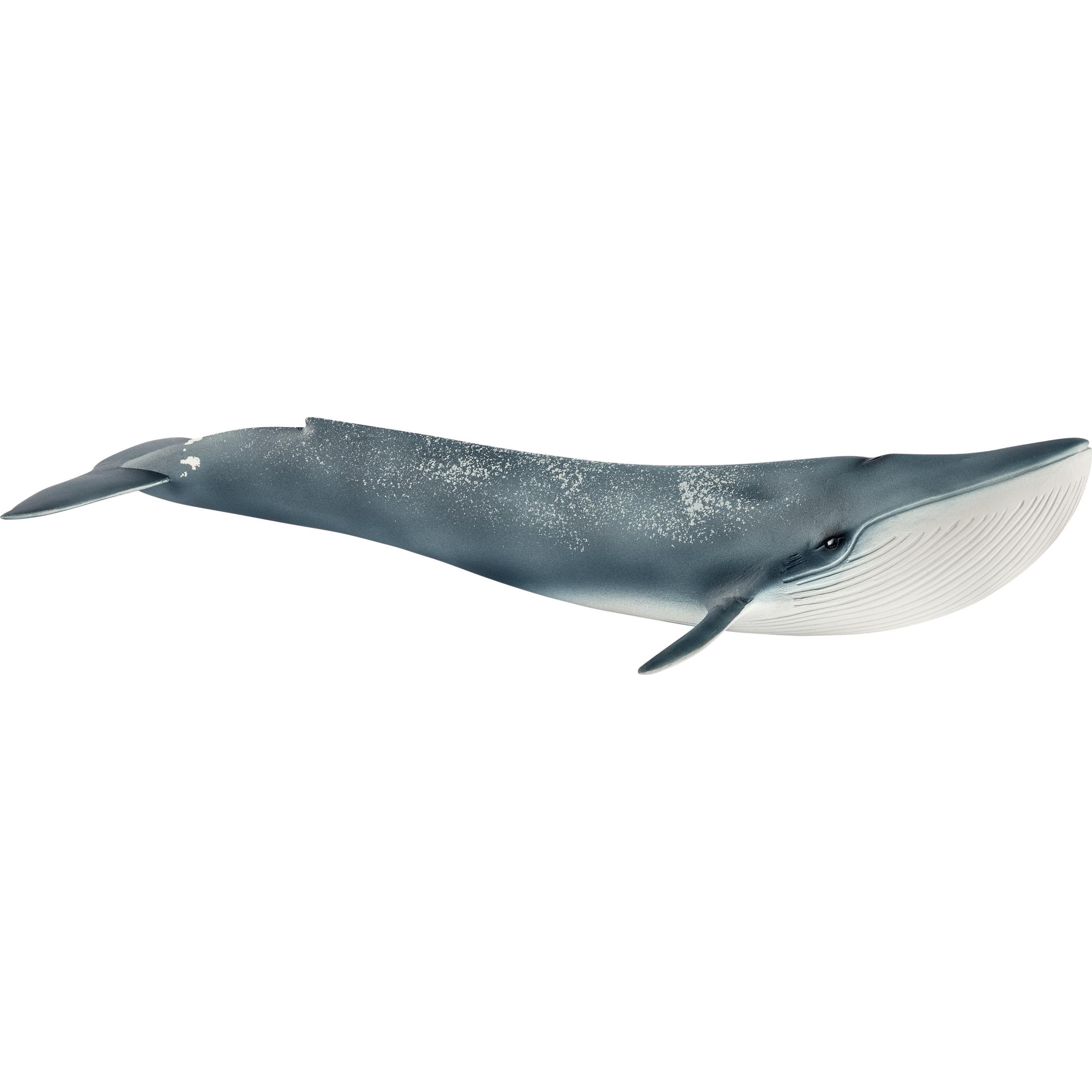 Schleich Schleich-Blauwal