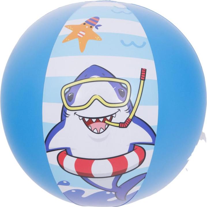 Actual product image Jilong Inflatable beach ball