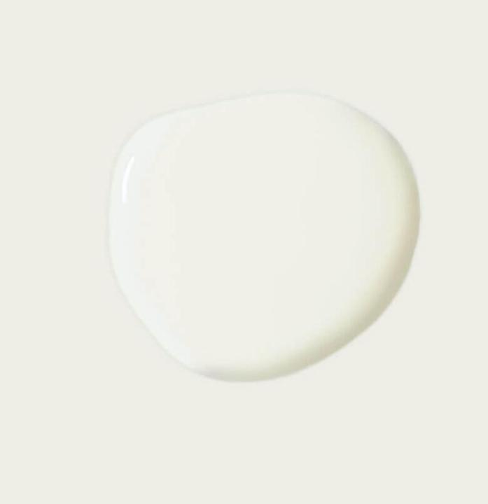 Produktbild Annie Sloan Kreidefarbe (1000 ml)