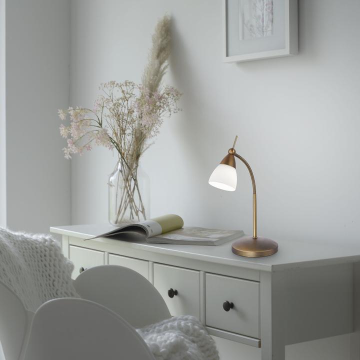 Actual product image Paul Neuhaus antique brass LED table lamp 3000K 3W (265 lm, G9)