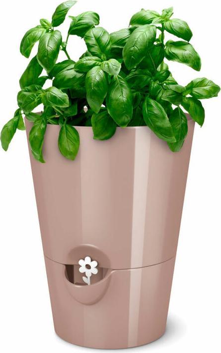 Produktbild Emsa Kräutertopf Fresh Herbs