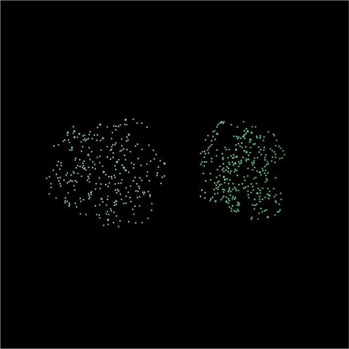 Produktbild Poppik Sticker Lernposter Himmelskarte