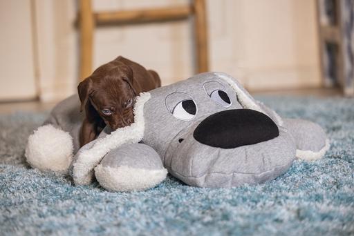 Productafbeelding Beeztees Boomby (Puppy speelgoed)